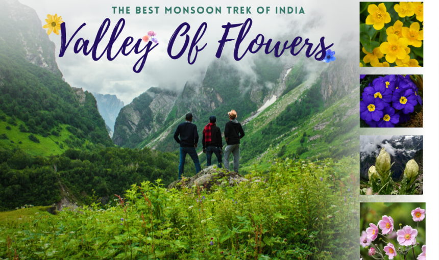 Best Time to Visit Valley of Flowers — An Unforgettable Guide | Wonder Bharat Holidays